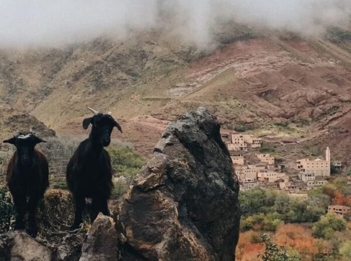 Atlas Trekking