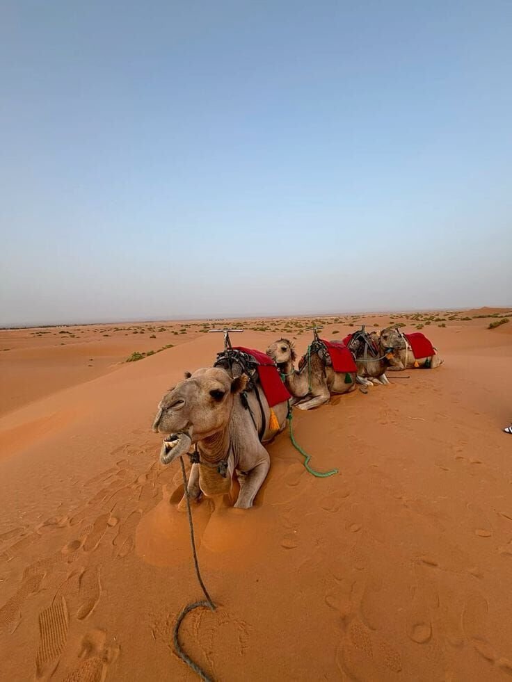 7 Day Marrakech to Merzouga Desert Tour & Sahara Adventure