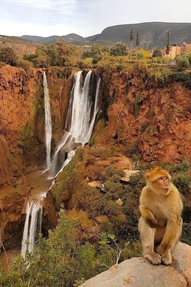 Ouzoud Waterfalls Day Trip from Marrakech Atlas Escape
